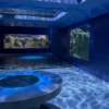 Acuario Michin CDMX - 3 thumb