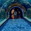 Acuario Michin CDMX - 4 thumb