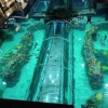 Acuario Michin CDMX - 5 thumb