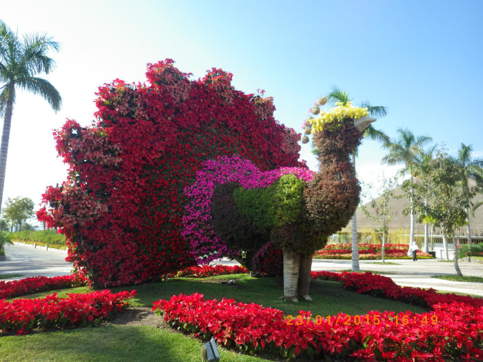 Imagen de Jardines de México