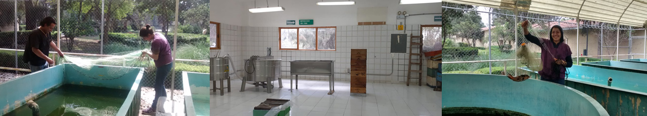 Imagen de Centro de Cultura Ambiental Acuexcomatl