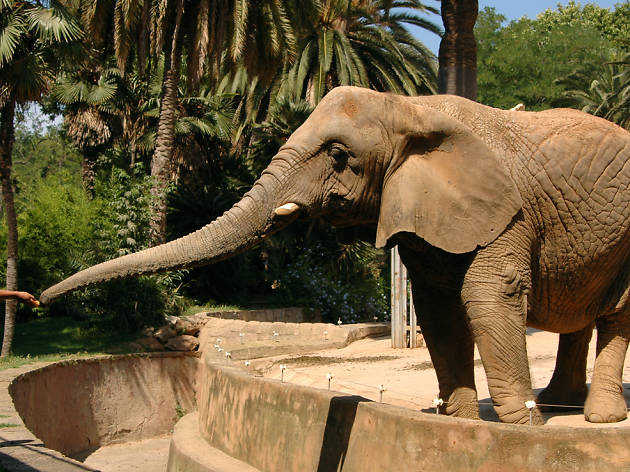 Imagen de Zoológico de Chapultepec