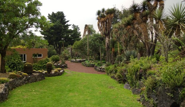 Imagen de Jardín Botánico de la UNAM